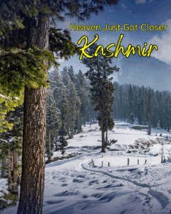 kashmir